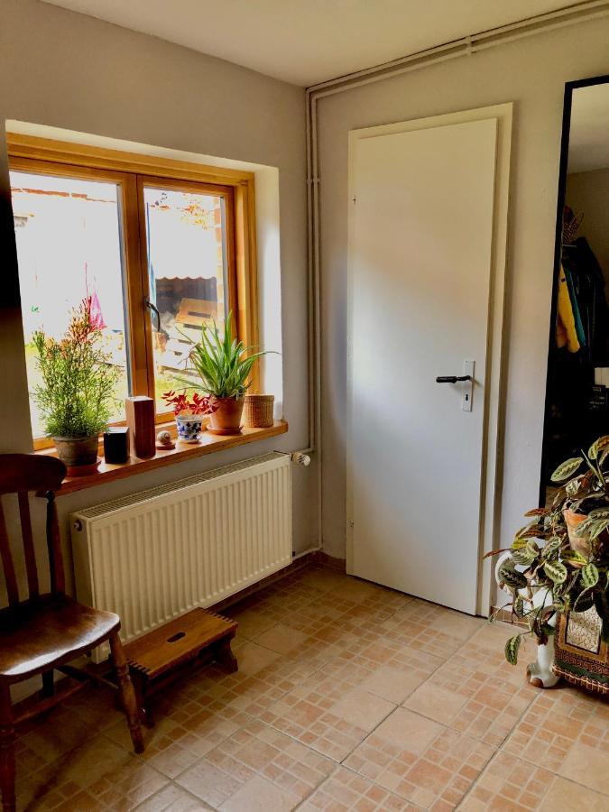 Gemuetliches Studio-Apartment In Ostseenaehe - Cosy Wulfi Probsteierhagen Екстериор снимка