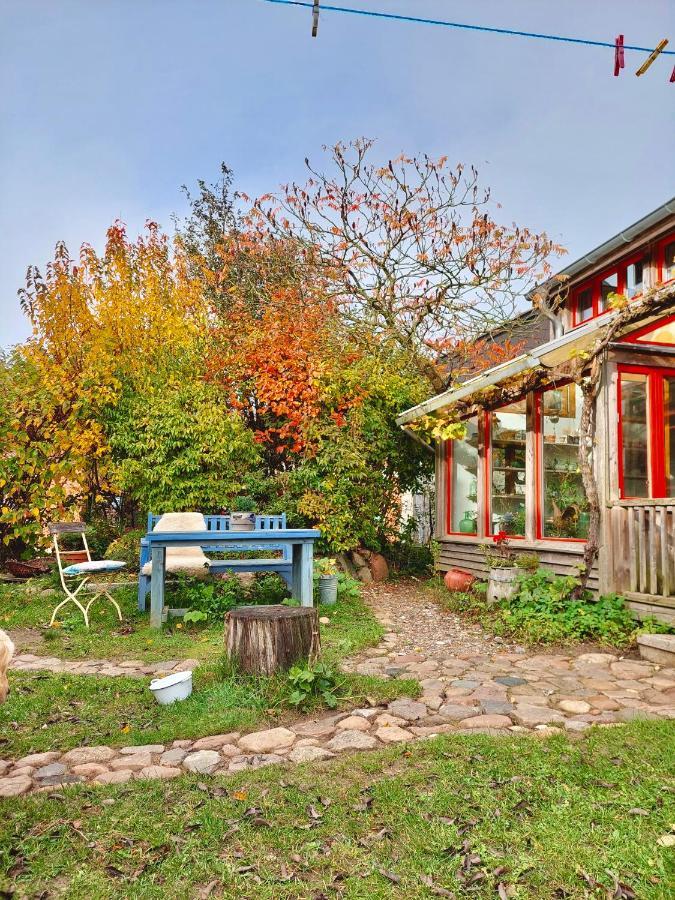 Gemuetliches Studio-Apartment In Ostseenaehe - Cosy Wulfi Probsteierhagen Екстериор снимка